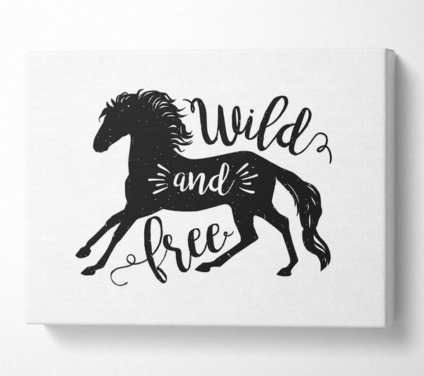 Wild And Free Like A Horse