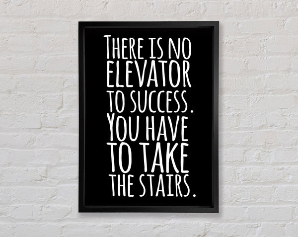 There Is No Elevation To Success