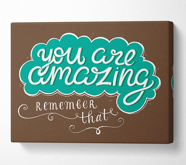 You Are Amazing Remember That