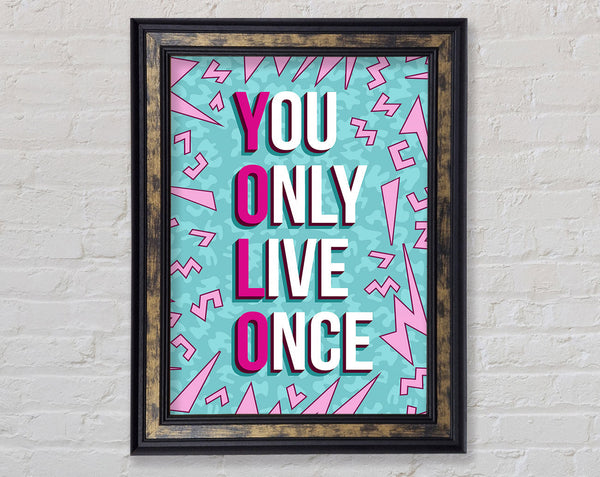 You Only Live Once