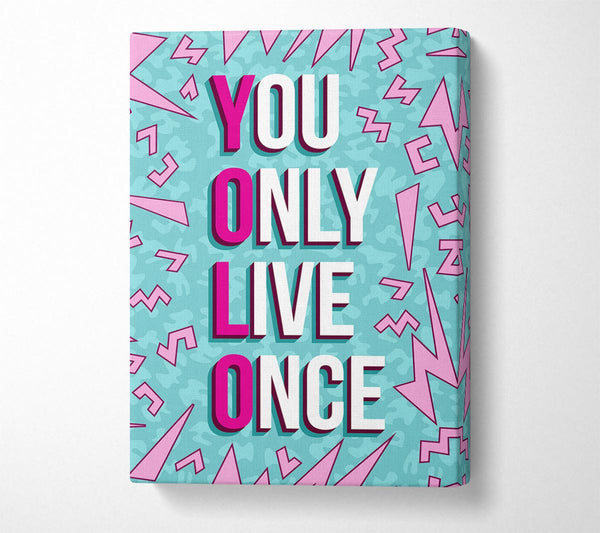 You Only Live Once