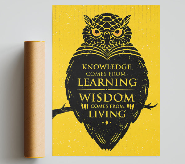 Knowledge And Wisdom