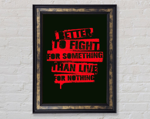 Better To Fight For Something