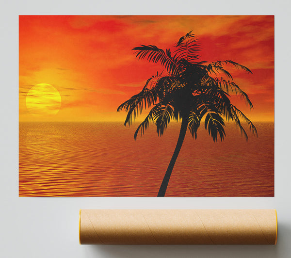 Palm Tree Ocean Sun