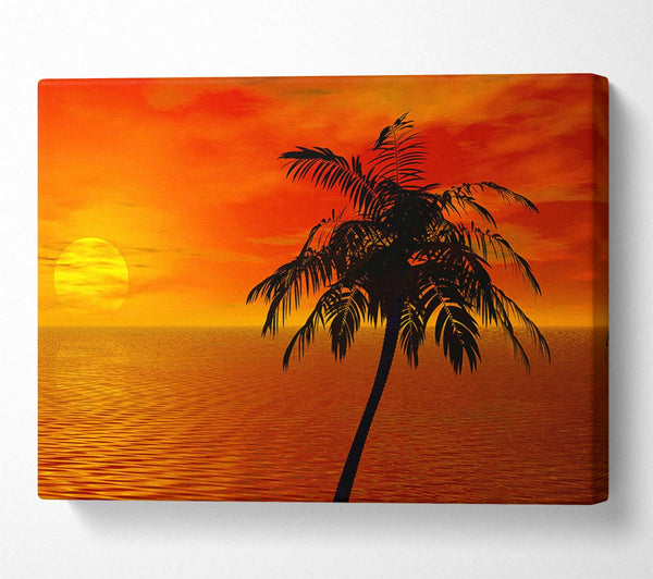 Palm Tree Ocean Sun