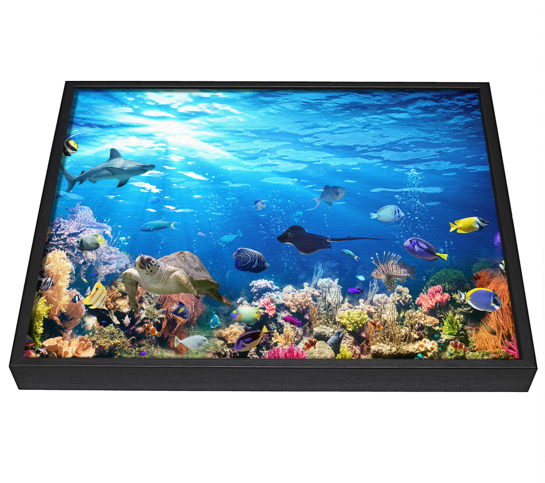 A picture of a Creatures in the reef framed canvas print sold by Wallart-Direct.co.uk