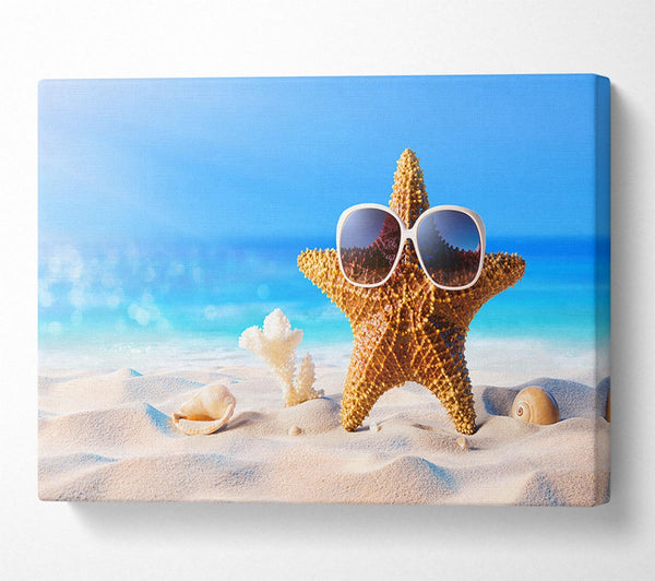 Cool Starfish