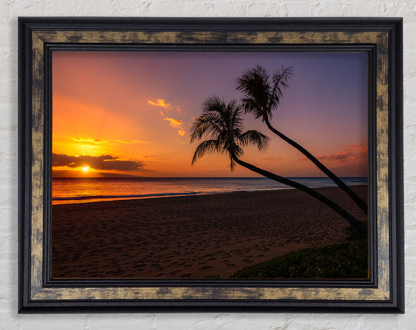 Two palm trees on the beach