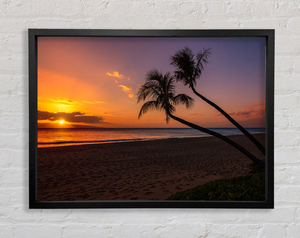 Two palm trees on the beach