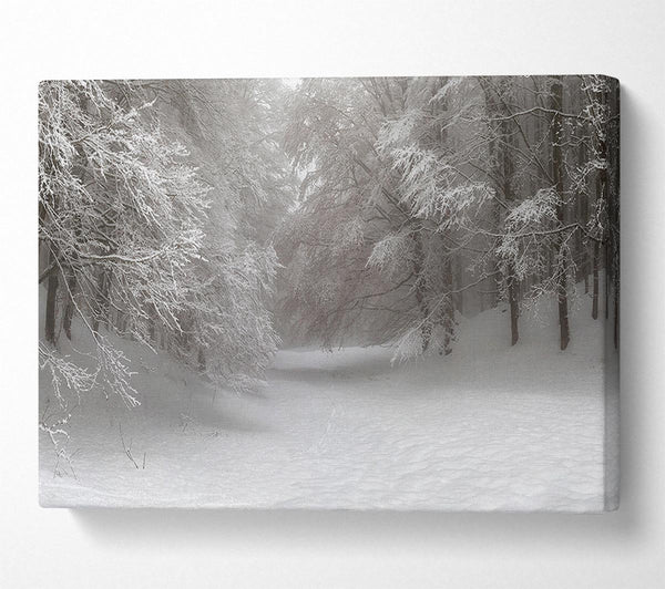 Grey snow forest