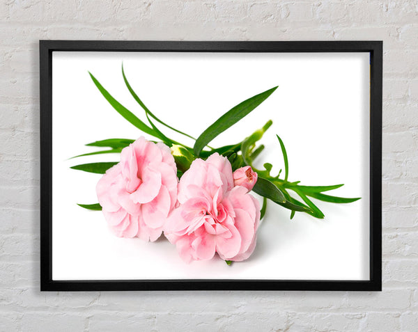 Pink flowers laid out