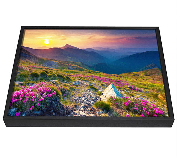 A picture of a Beautiful mountain range and flowers framed canvas print sold by Wallart-Direct.co.uk