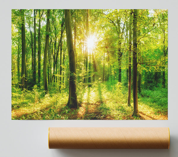 Green Forest Beauty