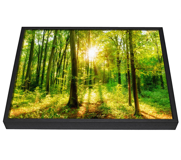 A picture of a Green forest beauty framed canvas print sold by Wallart-Direct.co.uk