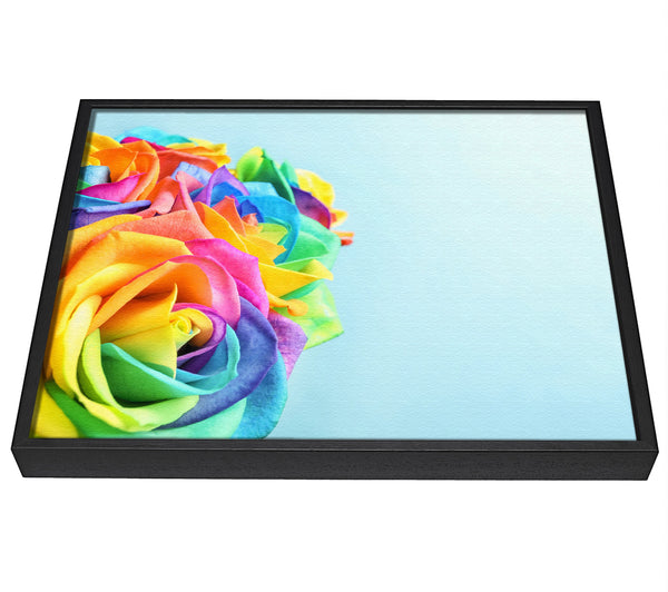 A picture of a Rose colour rainbow framed canvas print sold by Wallart-Direct.co.uk