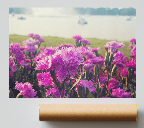 Pink Flowers In The Countryside