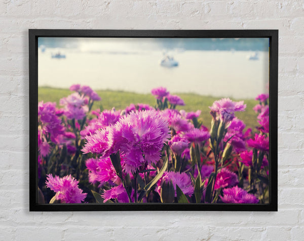 Pink flowers in the countryside