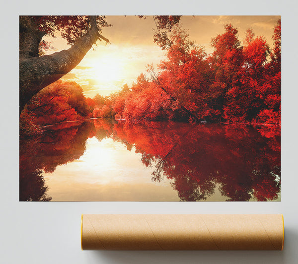 Stunning Red Forest Reflections In The River