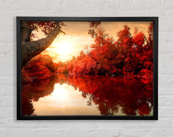 Stunning red forest reflections in the river