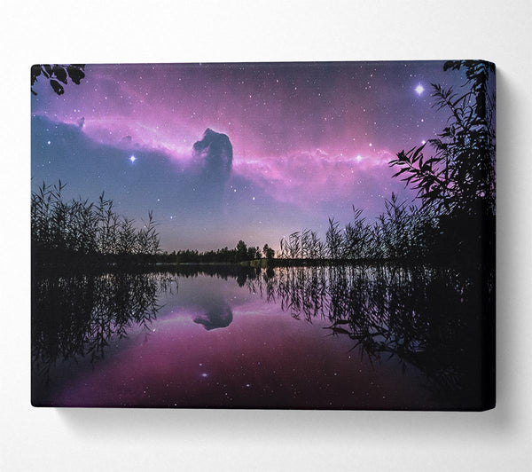 Horse head nebula over a purple lake