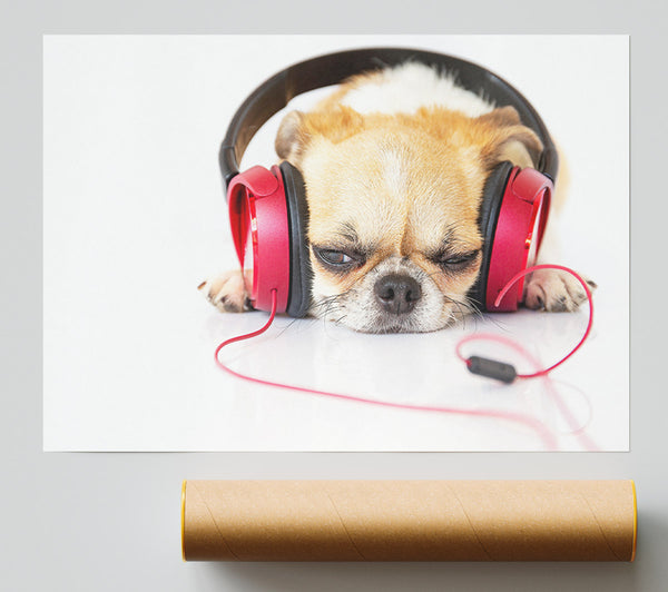 Dog Listening To Music Relaxing