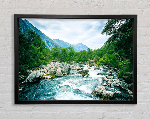 Stunning rapids of water forest