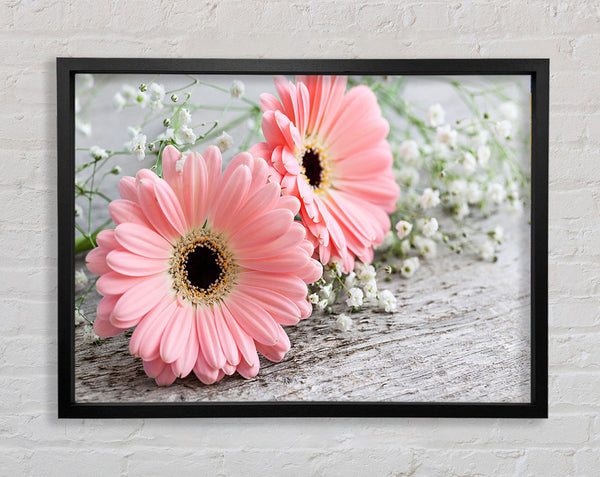 Pink gerbera laying down close