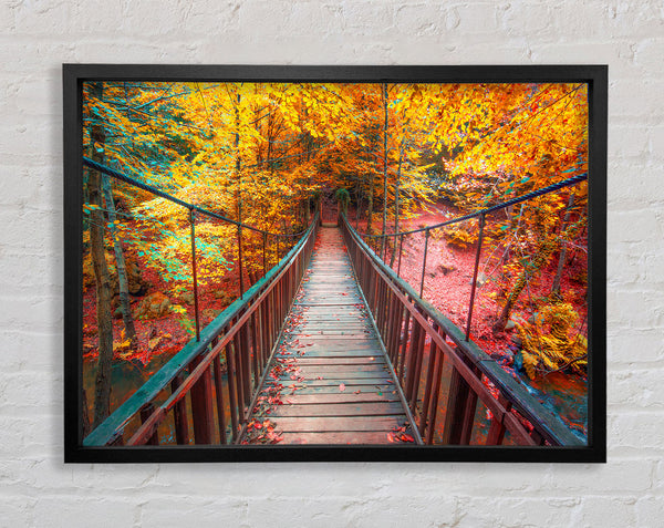 The rope bridge through the forest