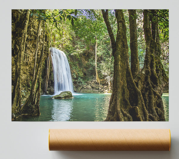 Amazon Jungle Waterfall