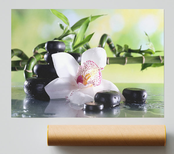 Orchids On The Stones Bamboo