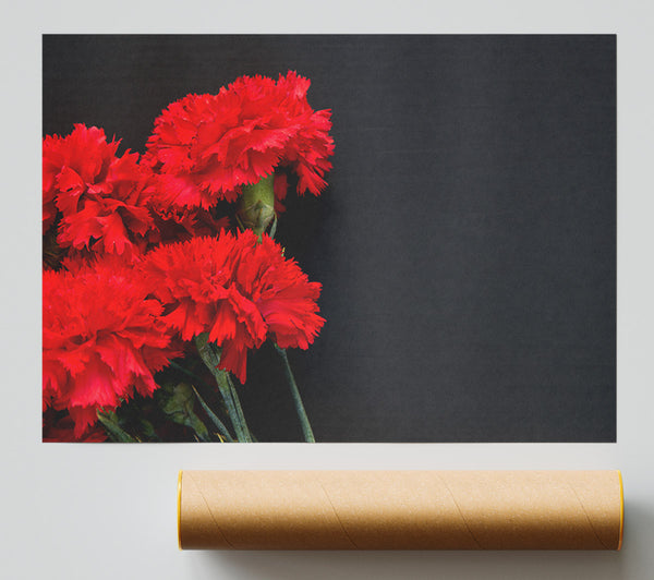 Red Flowers Dark Background