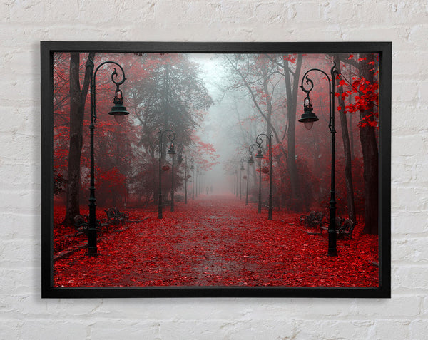 Red Autumn leaves streetlights