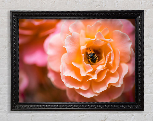 Bee chilling in a flower