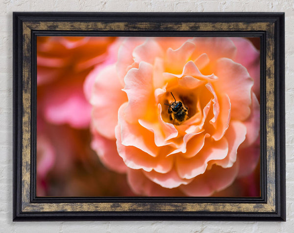 Bee chilling in a flower