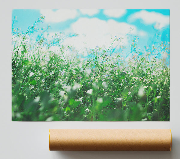 Wild Flowers In The Spring Meadow