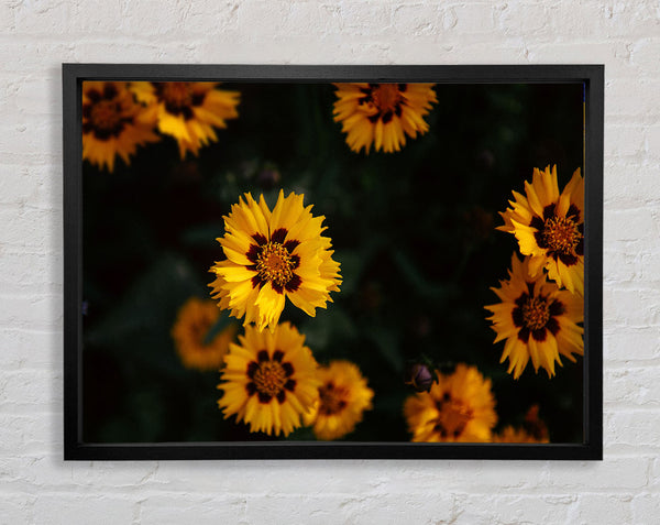 Yellow flowers in the dark