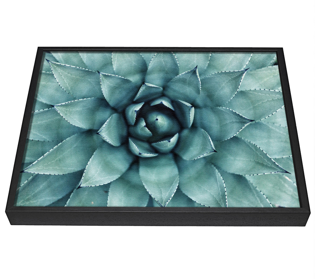 A picture of a Green cool Zen plant framed canvas print sold by Wallart-Direct.co.uk