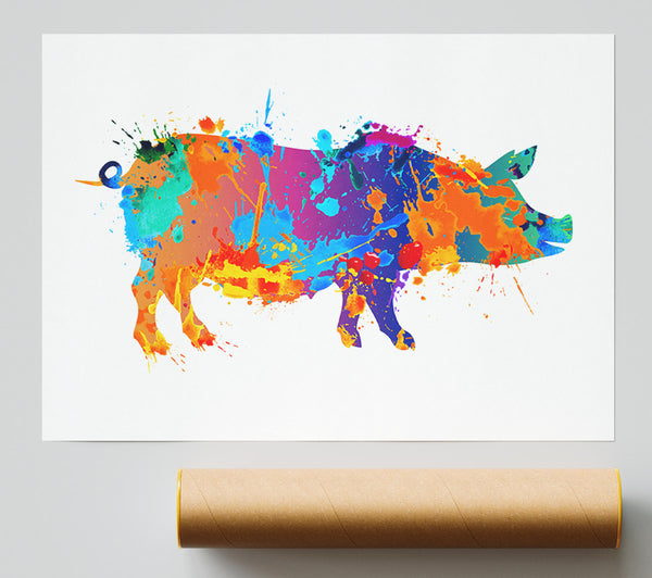 Colour Splash Pig