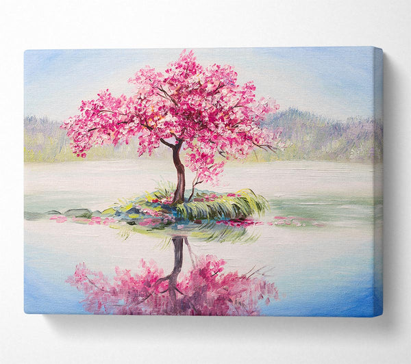 Lone Pink Blossom Tree