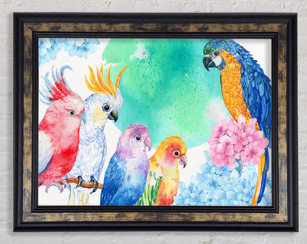 Array Of Watercolour Parrots