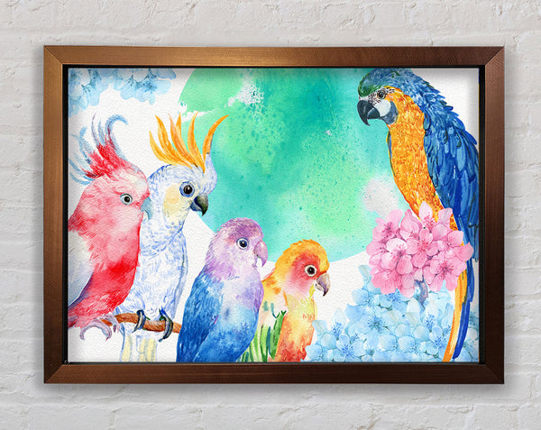 Array Of Watercolour Parrots