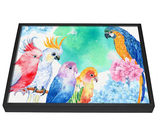 A picture of a Array Of Watercolour Parrots framed canvas print sold by Wallart-Direct.co.uk