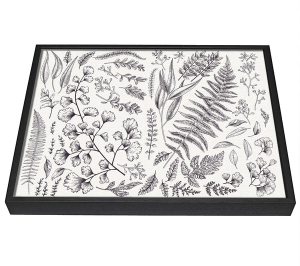 A picture of a Natures Leaves Hand Drawn framed canvas print sold by Wallart-Direct.co.uk