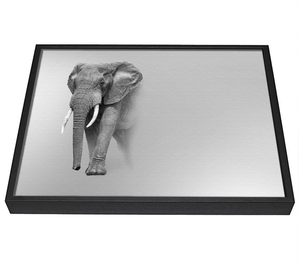 A picture of a Elephant In The Mist framed canvas print sold by Wallart-Direct.co.uk