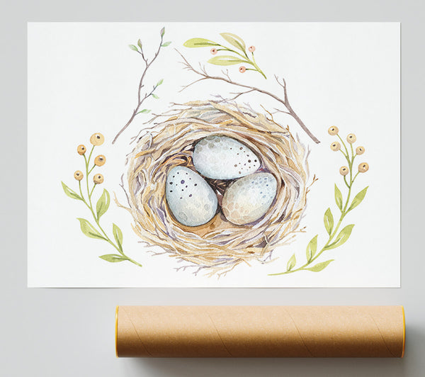 Three Eggs In A Nest