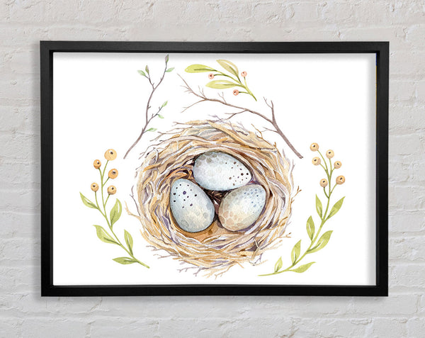 Three Eggs In A Nest