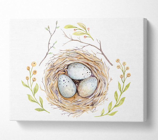 Three Eggs In A Nest