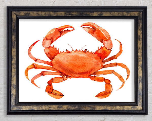 Watercolour Crab