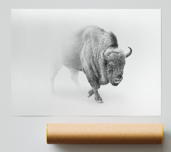 Bison In The Mist