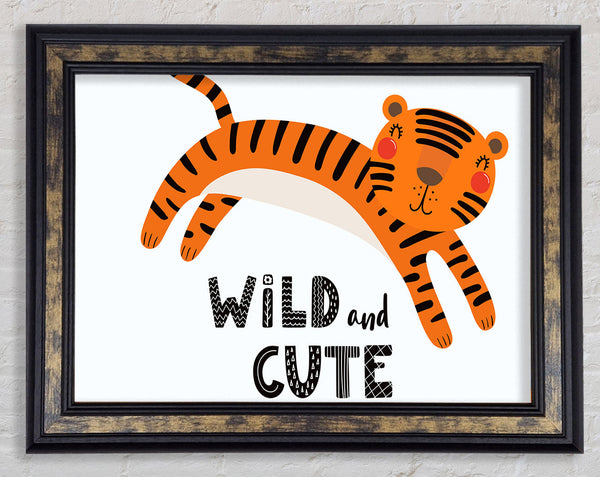 Wild And Cute Tiger